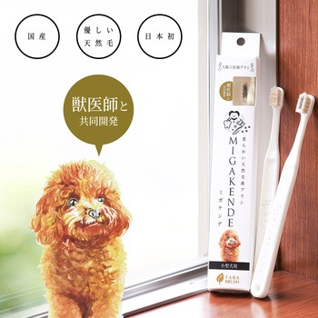 ミガケンデ 柔確植毛 ヤギ&ウマ 小型犬用 MIGAKENDE