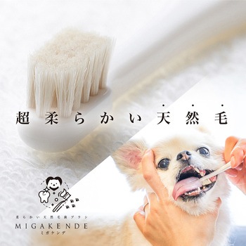 ミガケンデ 柔確植毛 ヤギ&ウマ 小型犬用 MIGAKENDE