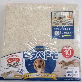 ピタペトモ 45×45cm oka