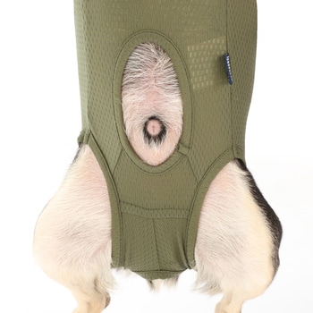犬用 ベッツウェア 男の子用 Vet's Labo
