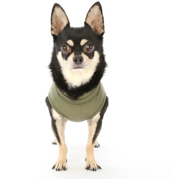 犬用 ベッツウェア 男の子用 Vet's Labo