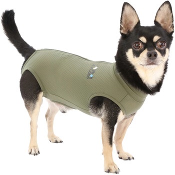犬用 ベッツウェア 男の子用 Vet's Labo