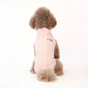 犬用 ベッツウェア 女の子用 Vet's Labo