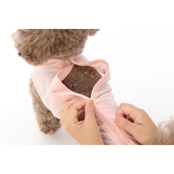 犬用 ベッツウェア 女の子用 Vet's Labo