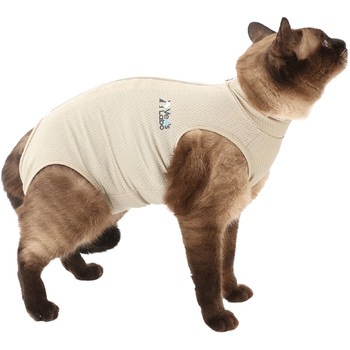 猫用 ベッツウェア Vet's Labo