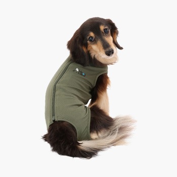 犬用 ベッツウェア 男の子用 Vet's Labo