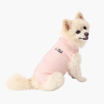 犬用 ベッツウェア 女の子用 Vet's Labo