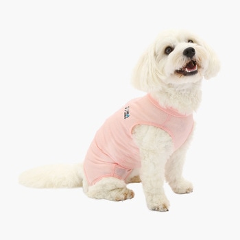 犬用 ベッツウェア 女の子用 Vet's Labo