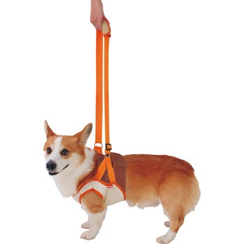 老犬介護用 歩行補助ハーネス 前足用K zuttone