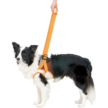 老犬介護用 歩行補助ハーネス 前足用K zuttone