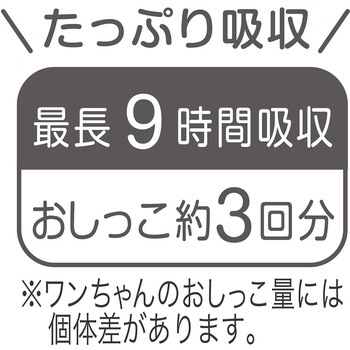 フレス たっぷり吸収するエチケットパンツ 男の子用 Petio