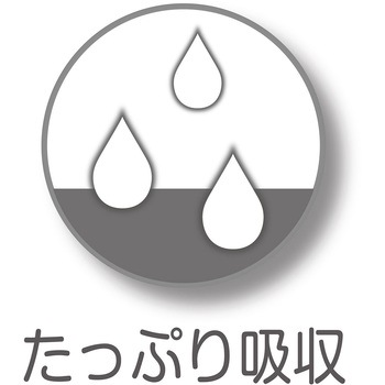 フレス たっぷり吸収するエチケットパンツ 男の子用 Petio