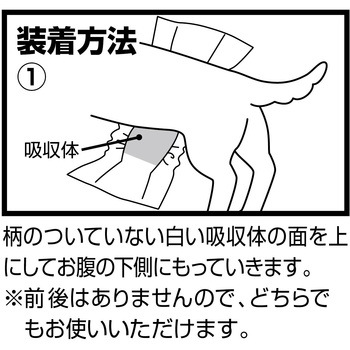 フレス たっぷり吸収するエチケットパンツ 男の子用 Petio