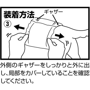 フレス たっぷり吸収するエチケットパンツ 男の子用 Petio