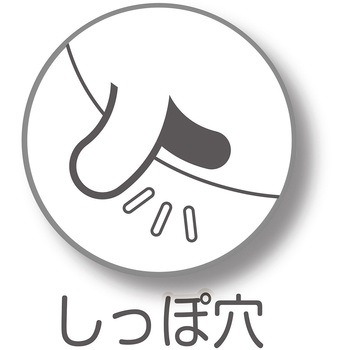 フレス たっぷり吸収するエチケットパンツ 女の子用 Petio