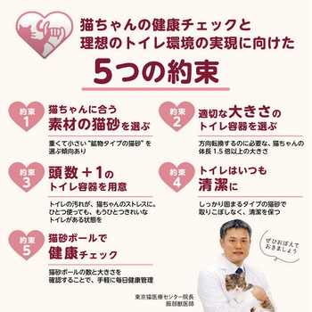 ニオイをとる砂専用 コンパクトコーナー猫トイレ ライオン商事
