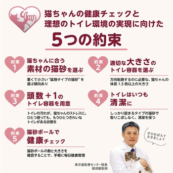 ニオイをとる砂専用 コンパクトコーナー猫トイレ ライオン商事