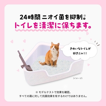 ニオイをとる砂 コンパクトコーナー猫トイレ子猫お迎え応援セット ライオン商事