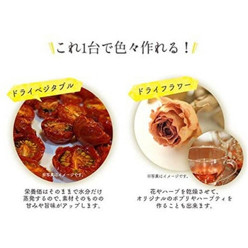 ドライフルーツメーカー マリン商事