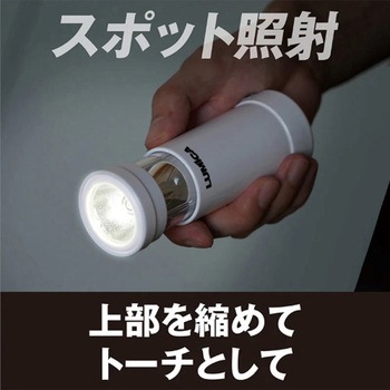 2-WAYランタンLED (充電式) エスコ
