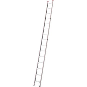 HA1-51b 1A͂ HA1-b JH S5.09m 29587918