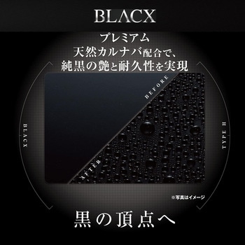 黒専用 超耐久WAX BLACX TypeH リンレイ