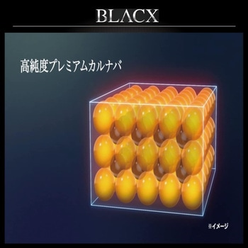 黒専用 超耐久WAX BLACX TypeH リンレイ