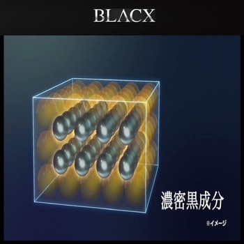 黒専用 超耐久WAX BLACX TypeH リンレイ