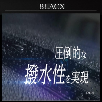黒専用 高耐久キズ消しWAX BLACX TypeS リンレイ