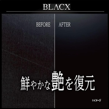 黒専用 高耐久キズ消しWAX BLACX TypeS リンレイ