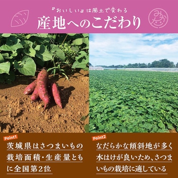 [冷凍]茨城県産焼きいも ニチノウ食品