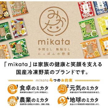 [冷凍]沖縄県産パイナップル ニチノウ食品
