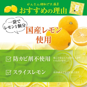 [冷凍]国産レモン ニチノウ食品