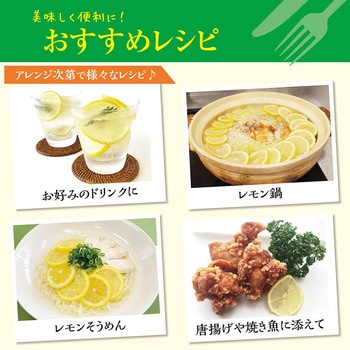 [冷凍]国産レモン ニチノウ食品
