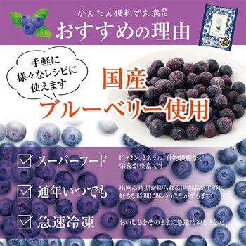 [冷凍]国産ブルーベリー ニチノウ食品