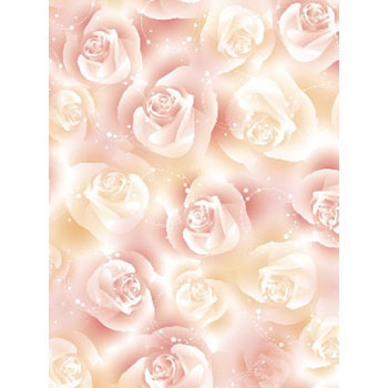 49-2558  o^CEzCgf[En[g TTK 30086823