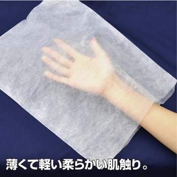 不織布製 内袋 中 ササガワ