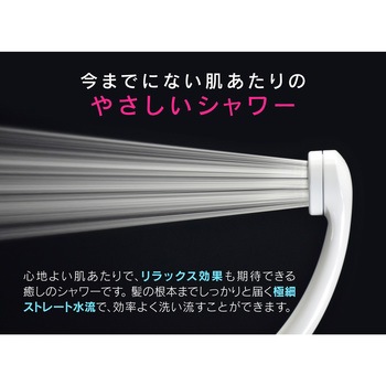 これカモ シャワーヘッドとホースのセット GAONA(ガオナ)