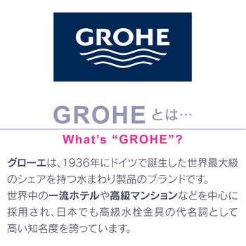 ヤータモン・カーチス シャワーヘッドとホースのセット GAONA(ガオナ)