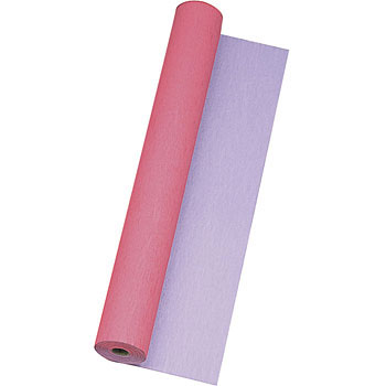 68570 �r�X�N���[�v �������{�� 30310945