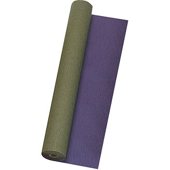 68570 �r�X�N���[�v �������{�� 30311268