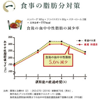 綾鷹 特選茶 コカ・コーラ