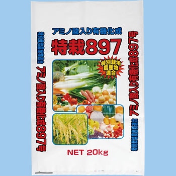 特大 希少 アミドリウム メデュウム 8号鉢 1株限定 178030296.jpg