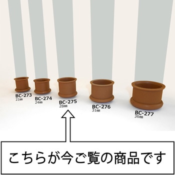 イスキャップ WAKI