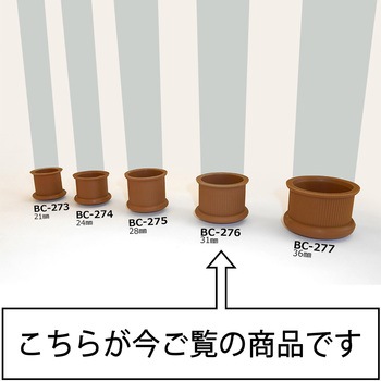 イスキャップ WAKI