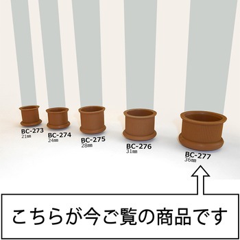 イスキャップ WAKI