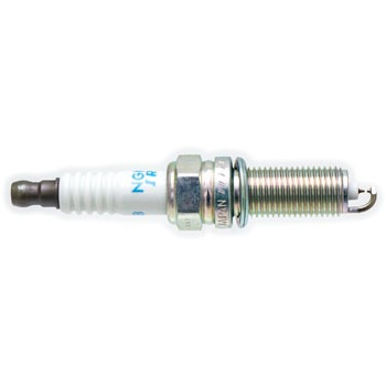 1822A079 (1822)�v���O �~�c�r�V 30754562