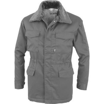 481 �h���R�[�g 481 �W�[�x�b�N 30939493