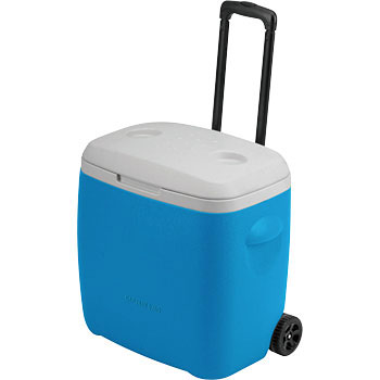 M-5282 ���K�[�h �z�C�[���N�[���[�{�b�N�X28L CAPTAIN STAG 30977117