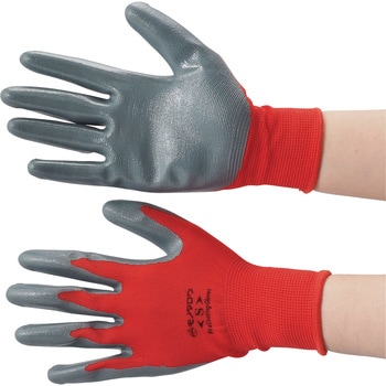 - w  jgSR[g m^E 31101254